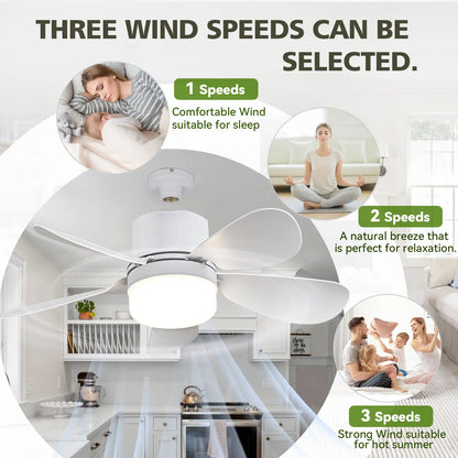 ASALL Socket Fan Light with Remote Control, Portable Small Ceiling Fan with Light for Kitchen,Bedroom, Livingroom, with Dimming Function, 1000 Lumens, Screws into E26/E27